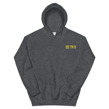 Load image into Gallery viewer, Small 93 TM 11 Hoodie ( Gold Letters & Gray Outline )
