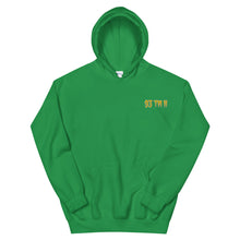 Load image into Gallery viewer, Small 93 TM 11 Hoodie ( Gold Letters & Gray Outline )