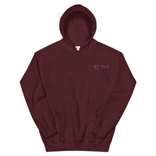 Load image into Gallery viewer, Small 93 TM 11 Hoodie ( Pink Letters & Black Outline )
