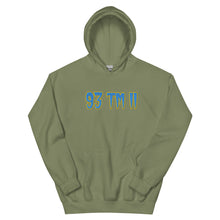 Load image into Gallery viewer, BIG 93 TM 11 Hoodie (Powder Blue Letters & Gold Outline)