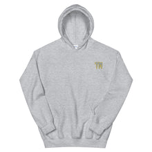 Load image into Gallery viewer, TM Hoodie (Gray Letters & Gold Outline)
