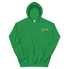 Load image into Gallery viewer, Small 93 TM 11 Hoodie ( Gold Letters &amp; Gray Outline )
