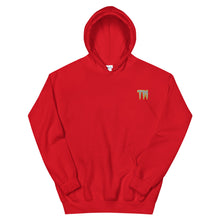 Load image into Gallery viewer, TM Hoodie (Gray Letters &amp; Gold Outline)
