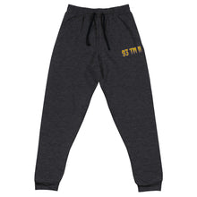 Load image into Gallery viewer, 93 TM 11 Joggers (Gold Letters &amp; Purple Outline)
